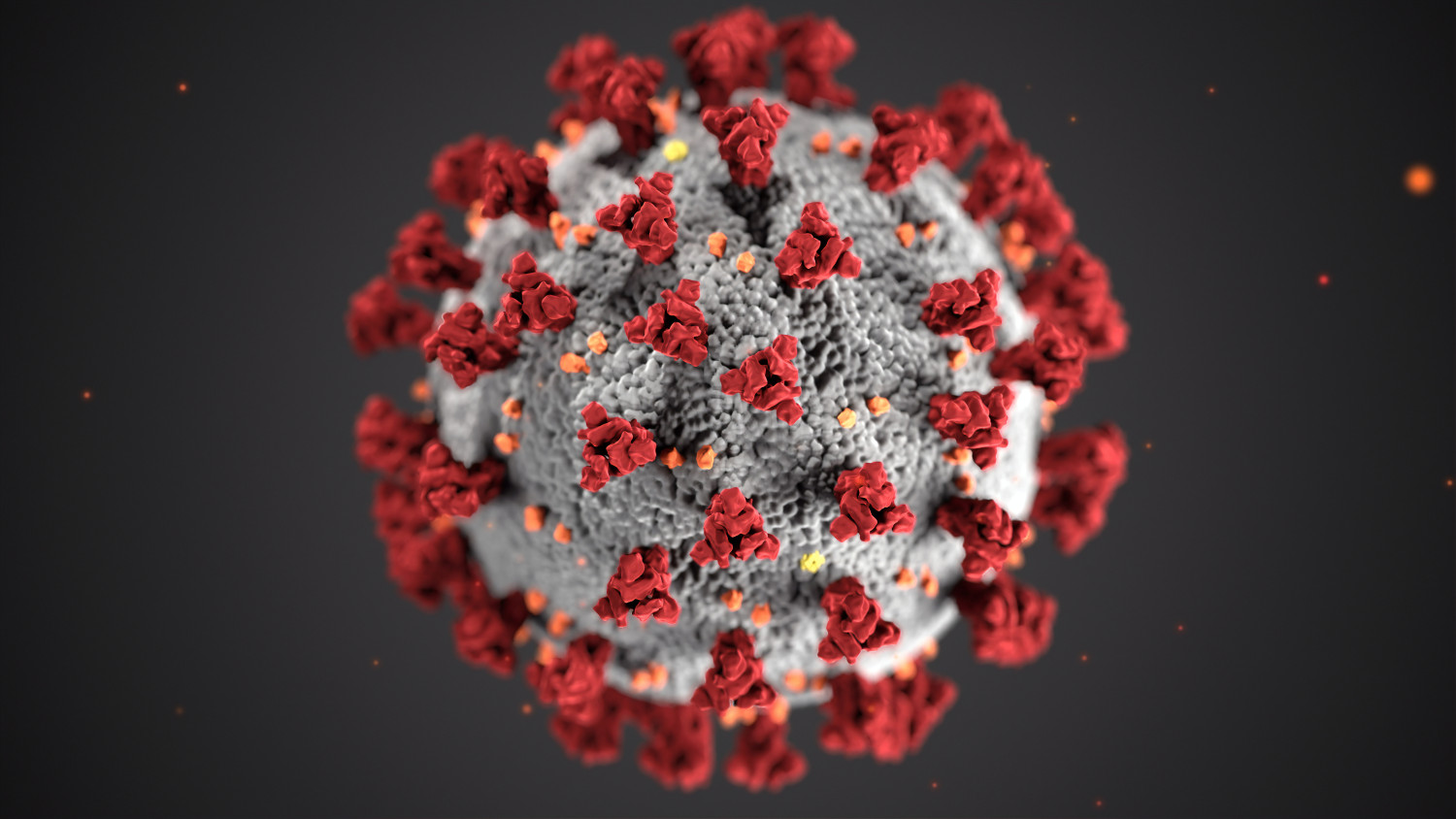 ÚLTIMA HORA: Coronavirus
