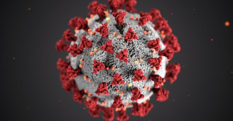 ÚLTIMA HORA: Coronavirus